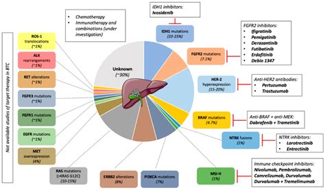 Ijms Free Full Text Immunotherapy For Biliary Tract Cancer In The