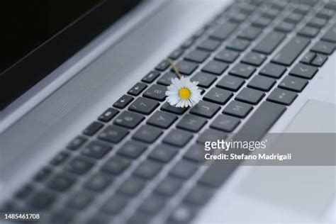 Flower Keyboard Symbol Photos And Premium High Res Pictures Getty Images