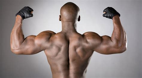 Back Exercises That Build Muscle Healthtopical