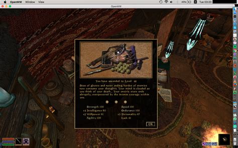 We did not find results for: Level Up Messages for OpenMW (LUM Levels 20-75) at Morrowind Nexus - mods and community