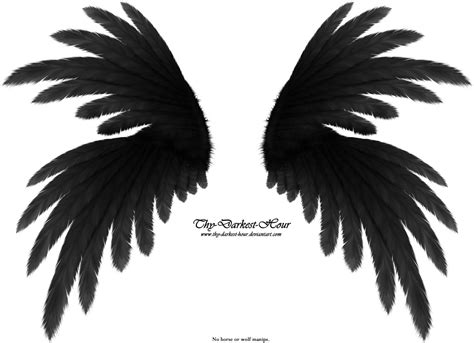 Preview Standard test image - angel wings png download - 1600*1161 - Free Transparent Preview ...