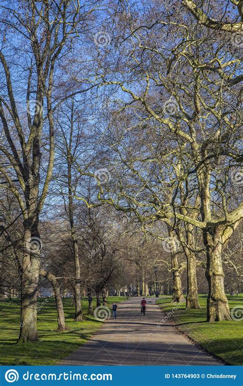 Green Park In London Editorial Stock Photo Image Of Famous 143764903
