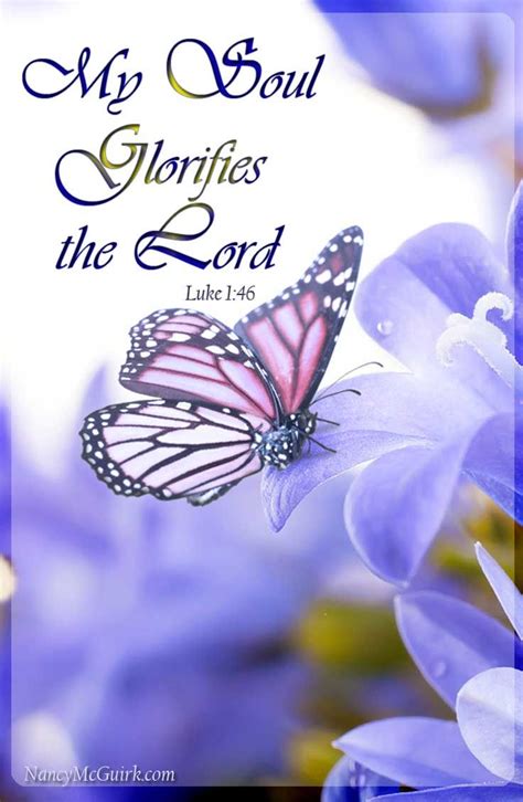 267 Best Images About Butterfly Bible Quotes On Pinterest