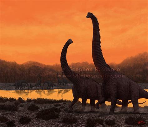 The Old And The New Brachiosaurus Altithorax By Deviantart