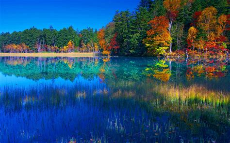 Amazing Autumn Colors Of Autumn Lake Nature Lakes Hd
