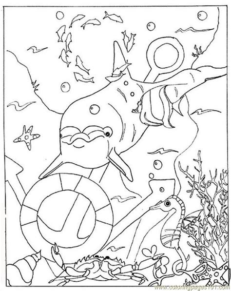 Razukrashka sea world offers to dive into it with your head and decorate the extraordinary sea inhabitants using all your extraordinary imagination. Sea World Coloring Pages - Coloring Home
