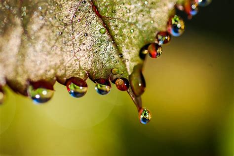 Photo Colorful Rain Drops By Shannon Skalisky On 500px