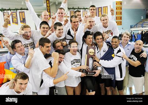 California Swimmers Celebrate After Winning The Team Title At The Ncaa