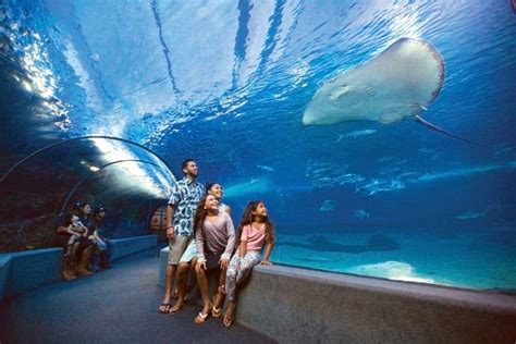 Maui Ocean Center Top 10 Aquariums In The World By Tripadvisor