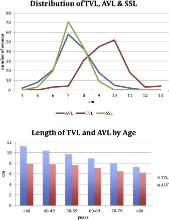 Variability Of Anterior Vaginal Wall And Total Vaginal Length Journal