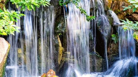 6 Most Beautiful Waterfalls In Florida You Should Visit Mortons On