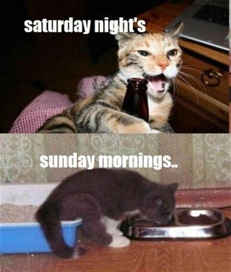 Saturday Meme Funny Saturday Night Pictures