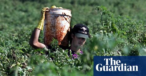 Slave Labour And Sexual Exploitation Calls For Investigation Into