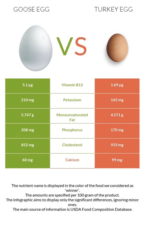 Goose Egg Vs Turkey Egg — In Depth Nutrition Comparison