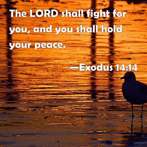 Exodus 1414 The Lord Shall Fight For You And You Shall Hold Your Peace