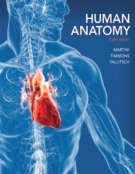 Cheapest Copy Of Human Anatomy 8th Edition Standalone Book By
