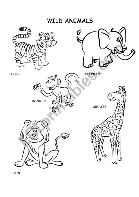 Wild Animals Coloring Esl Worksheet By Kalaquendi