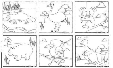 Australian Animals Colouring Pages! • Free Samples Australia