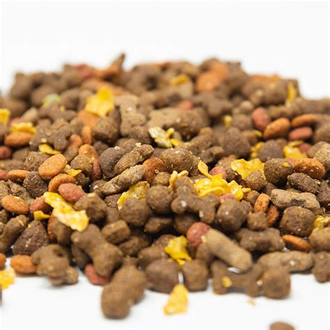 Feed your cat and dog like their ancestors. Dr Green Sticky Mix Dog Food 15kg - Dr Green Dog Food ...