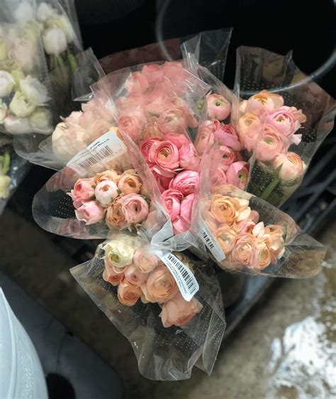Every member of the collective has pledged to highlight local, seasonal flowers and use sustainable growing and business practices whenever possible. Wholesale Florists San Antonio Texas : Janal Wholesale ...
