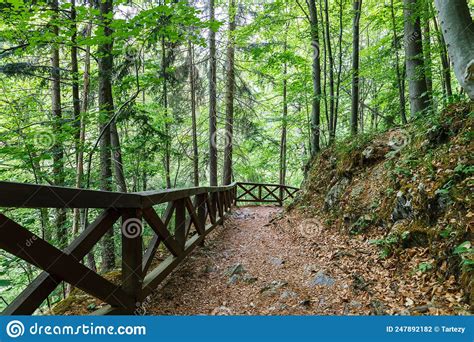 Walking Trail In The Mountains With Wooden Handrails Stock Photo