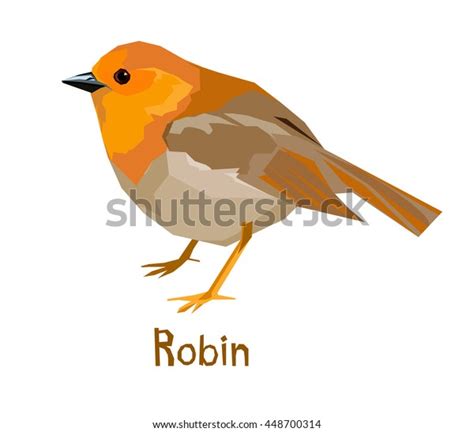 Robin Bird Vector Illustration Stock Vector Royalty Free 448700314