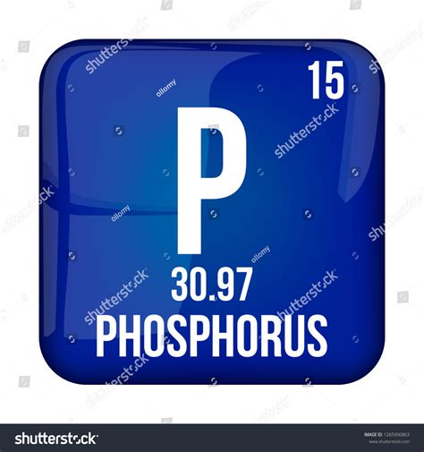 Vektor Stok Phosphorus Symbolchemical Element Periodic Table On Tanpa