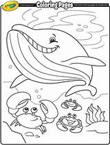 Coloring Whale Crayola Pages Summer Color Sea sketch template