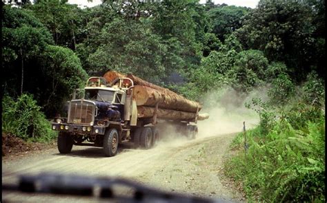 Stia stands for sabah timber industries association. Sabah Forestry Department to ban timber exports - TIN