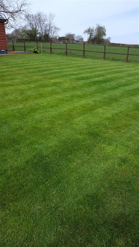If Your Lawn Doesn't Look Like This… | Lawn Order