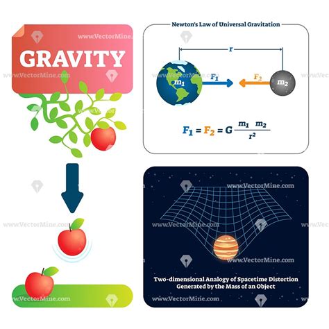 Exemplary Newtons Law Of Gravitation Class 11 9 Science Notes Motion