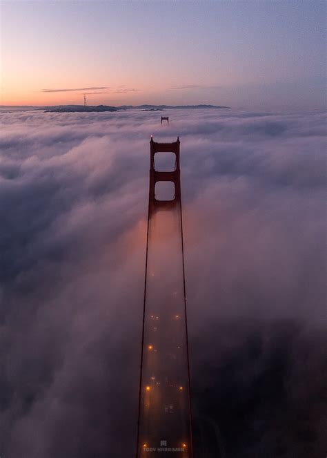 Golden Gate Bridge Aerial Fog Sunrise Fubiz Media