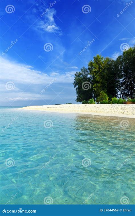 Tropical Beach Blue Sky And Clear Water Stock Image Image Of Blue