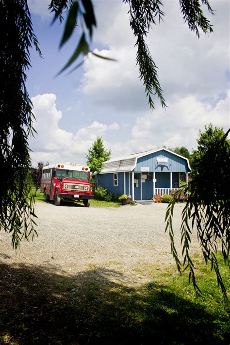 Il più economico e' in auto che costa $198. The Longhorn Store - Longhorns Head To Tail Store