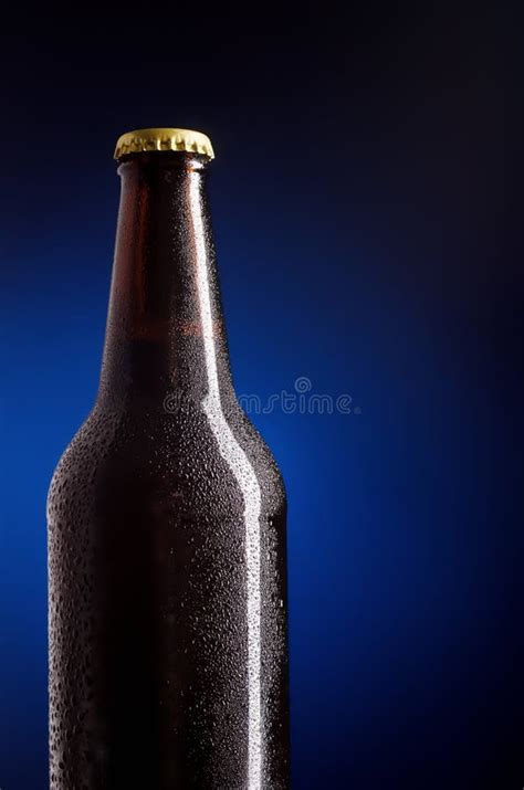 Beer Bottle Stock Photo Image Of Condensation Alcohol 28792892