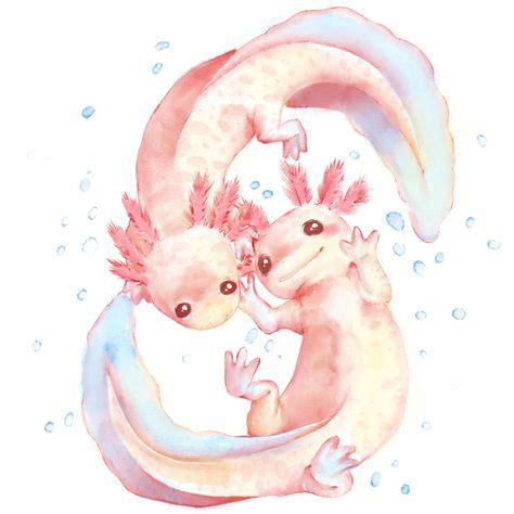 See more ideas about axolotl, art, drawings. 51 Best Axolotl Drawing images | Axolotl, Drawings, Art