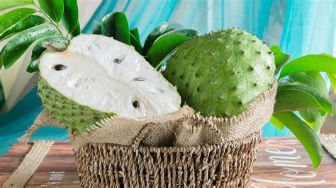 Cukup sediakan tomat setengah cangkir, potong cincang. Berikut Cara Membuat Jus Sirsak Susu Enak Lezat dan Cocok ...