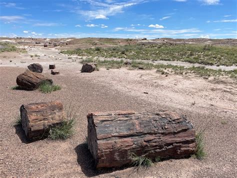 A Drive Through Petrified Forest National Park Adventures Of The 4 Jls