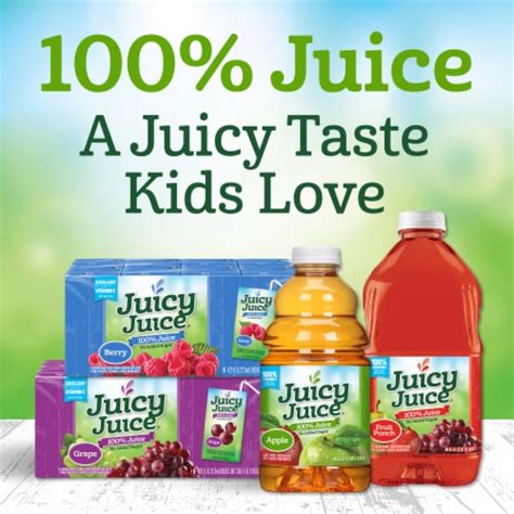 Juicy Juice Fruit Juice Boxes Variety Pack 100 Juice 32 Ct 423 Fl