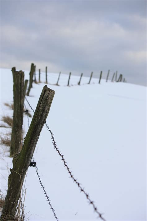 Wallpaper 2848x4272 Px Depth Of Field Fence Portrait Display Snow