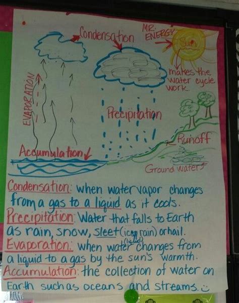 Water Cycle Anchor Chart Science Water Cycle Anchor