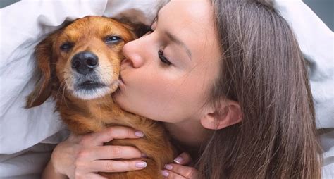9 τρόποι για να “μιλήσετε” στη γλώσσα του σκύλου σας και να του “πείτε” πόσο πολύ τον αγαπάτε