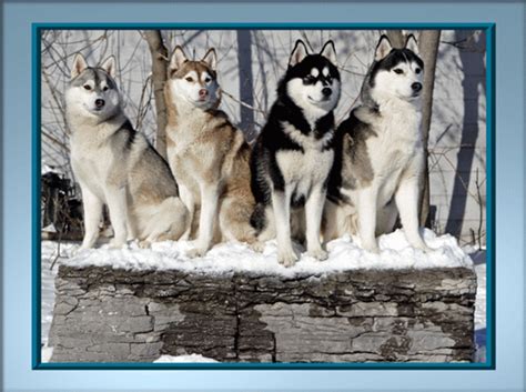 A conversation with steven pinker: Get Connected