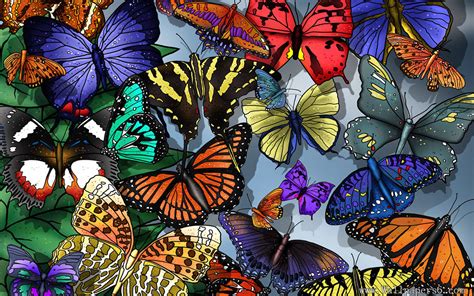 49 Cool Butterfly Wallpaper Free