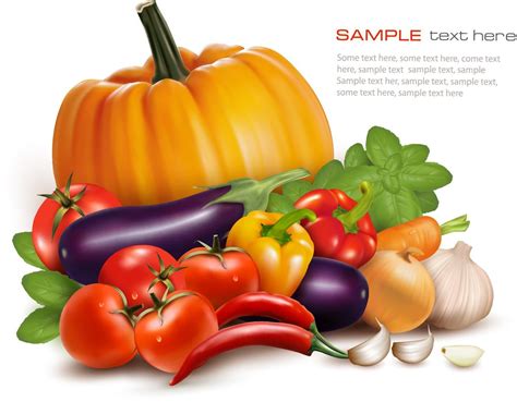 Various Vegetables Vector Background Kinds Of Vegetables Healthy