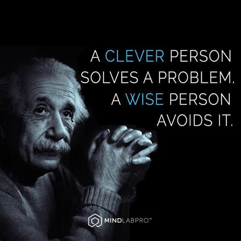A Clever Person Solves A Problem A Wise Person Avoids It Quote By