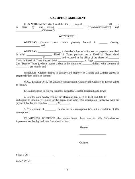 Assumption Agreement Form Fill Out And Sign Printable Pdf Template