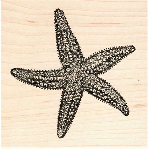 Starfish Rubber Stamps Kritters In The Mailbox Starfish Rubber Stamp