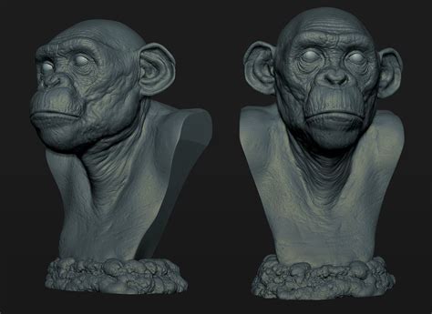 Ape Bust Maarten Verhoeven Animal Sculptures Chimp Character Design