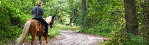 Maryland Horseback Riding Tours Information